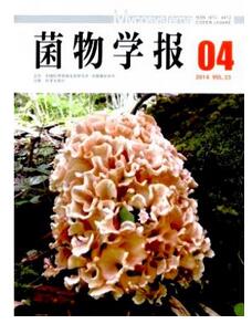什么期刊發(fā)表菌菇類試驗(yàn)論文