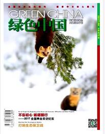 綠色中國A版論文發(fā)表指導(dǎo)