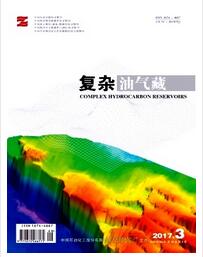 復雜油氣藏