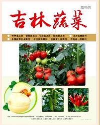 吉林蔬菜