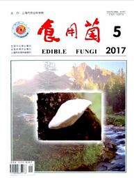 食用菌論文發表指導