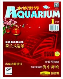 水族世界論文發表指導