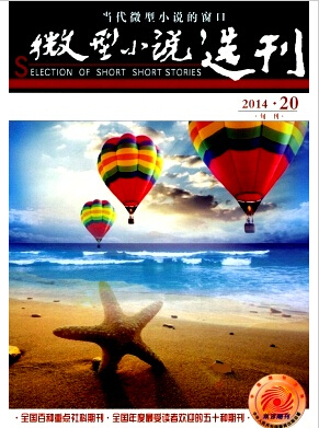 微型小說(shuō)選刊論文發(fā)表指導(dǎo)