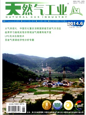 天然氣工業論文發表指導
