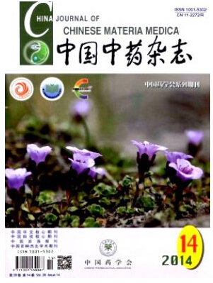 在職研究生論文