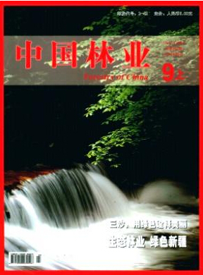 林業工程師論文