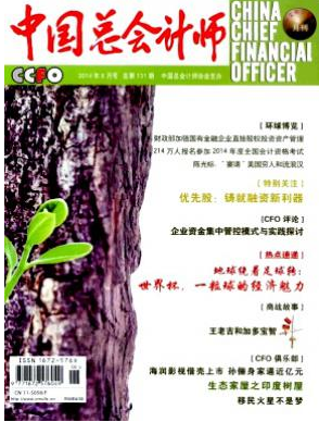 會計師職稱論文