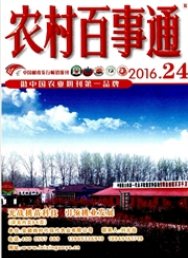 農村百事通