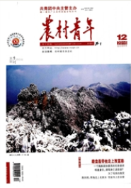 農(nóng)村青年