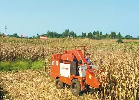 玉米收割機械的使用維護與故障排除