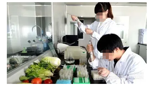 高效液相色譜法在食品安全檢驗中的應用