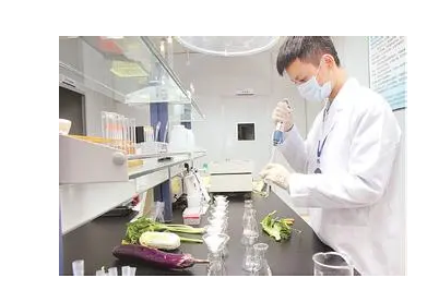 快速檢測技術在食品安全中的應用研究進展