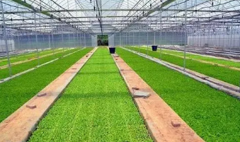 農業工程技術在農業現代化中的運用分析
