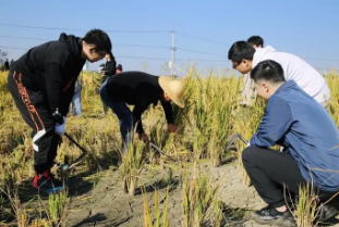 “三全育人”視域下新時代高校勞動教育研究