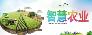 重慶市涪陵區智慧農業發展路徑及案例分析