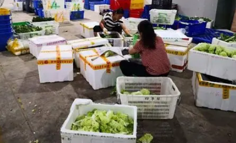 供應鏈視角下固原市冷涼蔬菜流通渠道發展對策研究