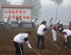 中學勞動教育的現狀及改進措施