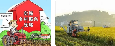 基于鄉村振興倡議的小農戶與現代農業發展有機銜接路徑探討