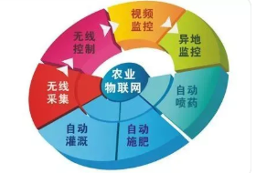 基于物聯網技術的農產品供應鏈信息化管理研究