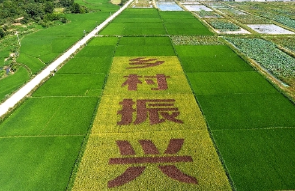 鄉村振興倡議下我國農村物流人才培養探究