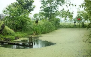 浙江地區(qū)農(nóng)村生態(tài)環(huán)境污染問(wèn)題及治理對(duì)策研究