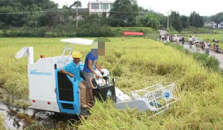 基于VAR模型的農村勞動力轉移與糧食生產實證研究