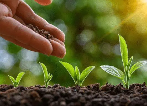 綠色農(nóng)業(yè)種植技術推廣的相關研究