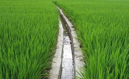 農田水利建設對生態環境的影響