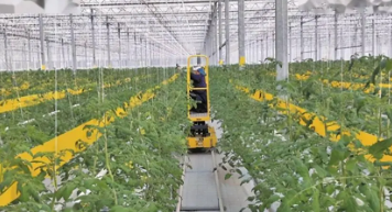 農業科技創新企業在農業現代化進程中的作用研究