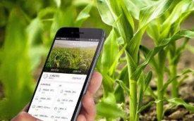 生物技術在現代農作物種植業的應用