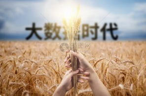 大數據背景下加強農業技術推廣促進種植業發展