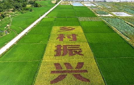 論鄉村振興倡議背景下農業工程科技創新
