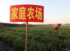 我國種植業家庭農場發展案例