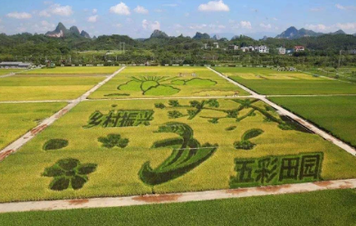 鄉村振興倡議下生態農業特色小鎮的發展路徑研究
