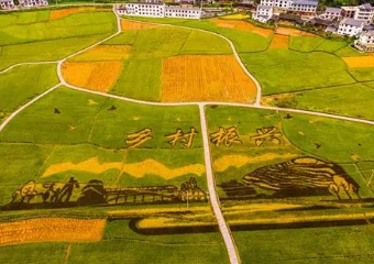 鄉(xiāng)村振興背景下延邊州農(nóng)業(yè)經(jīng)濟(jì)可持續(xù)發(fā)展問(wèn)題研究