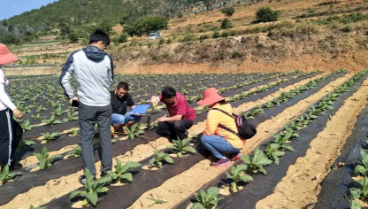 峨山縣農業產業發展現狀問題及對策