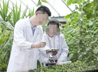 提升農業科研單位財務管理水平思考