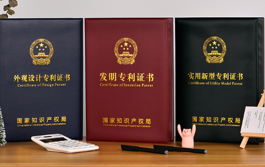 有發明專利在國內重要嗎