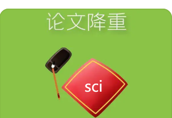 英文論文查重降重