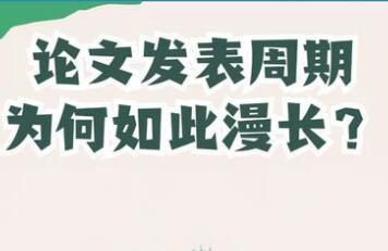 論文發(fā)表周期
