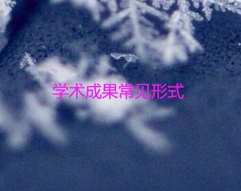 學(xué)術(shù)成果常見形式