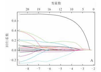 于健康體檢數據的結直腸息肉風險預測模型的構建與評估