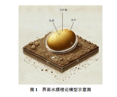 土下作物根土分離技術研究現狀與發展趨勢