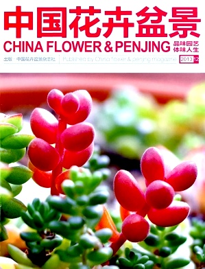 中國花卉盆景論文發表指導