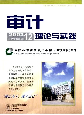 審計理論與實踐