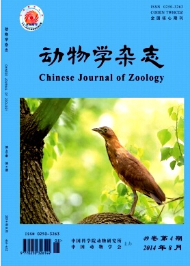 動物學(xué)雜志