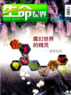 生命世界論文發(fā)表指導