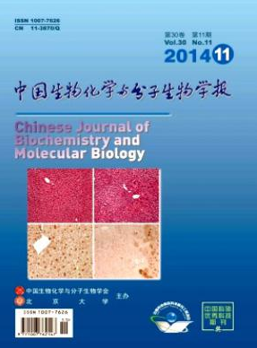 中國生物化學與分子生物學報論文發表指導