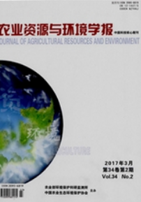 基礎教育論文