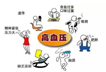 高血壓病合并高脂血癥的中醫(yī)藥治療研究進展